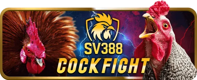 Sân bóng đá và quả bóng